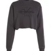 Calvin Klein Jeans EMBROIDERED MONOLOGO SWEATSHIRT 10683631